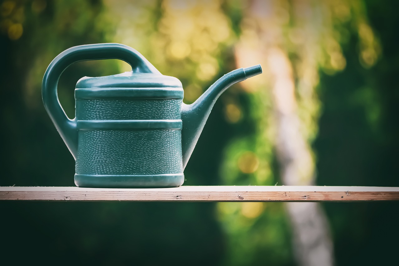 watering can g0f4427941 1280